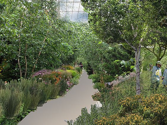 Swale food forest interior