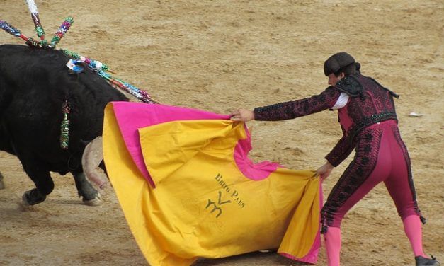 Uproar in Madrid over the Brutal Sport of Bullfighting