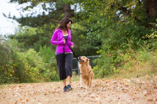 Report: Walking Your Dog Is Good For Your Health AND Your Neighborhood