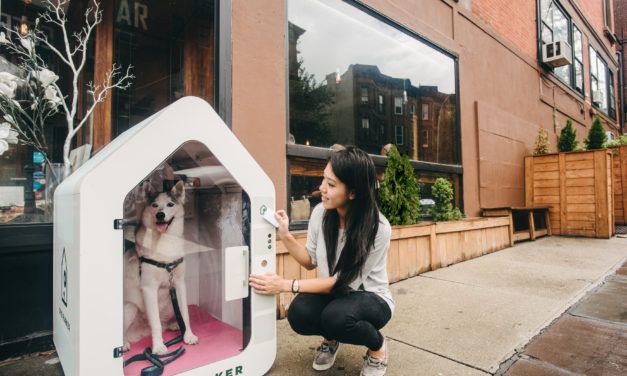 With This Invention, You Never Have to Tie Your Dog In Front of the Store Again