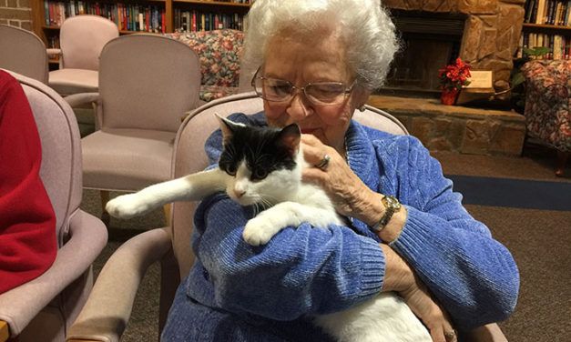 Therapy Cats Bring Joy To Nursing Home Residents