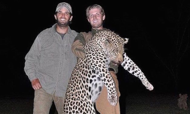 Trump Sons Celebrate Inauguration by Auctioning Off $1 Million Trophy Hunting Trip