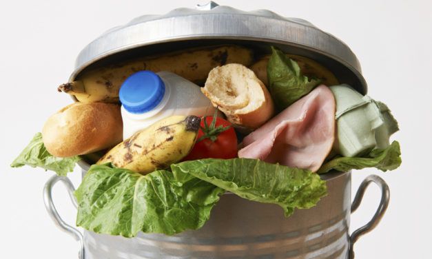 America’s Food Waste Could Power 5.5 BILLION Heaters a Year