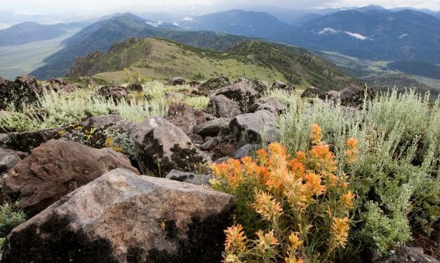 At Risk – 3.3 Million Acres of Public Land May Soon Be Up for Sale