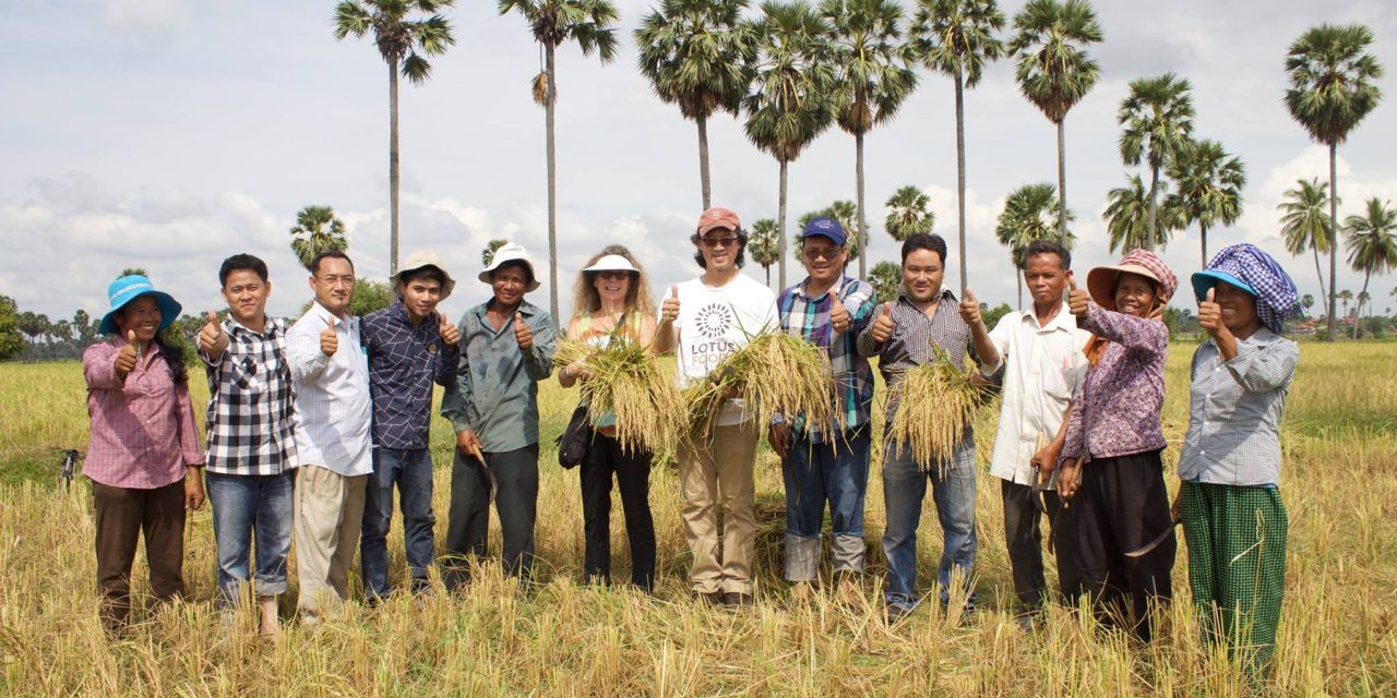 Sustainable rice that helps women workers