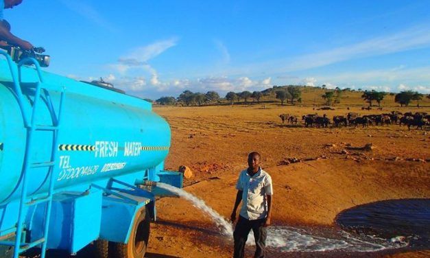 Hero Travels for Hours Each Day Bringing Water to Drought-Stricken Animals