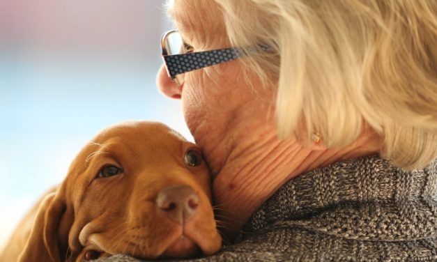 With a Little Help, the Sick and Elderly CAN Keep their Beloved Pets