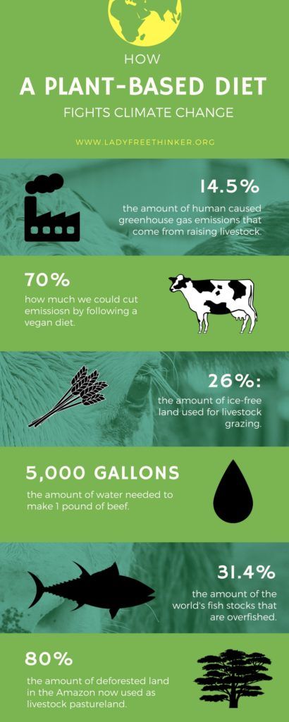 How a Plant-Based Diet Fights Climate Change Infographic