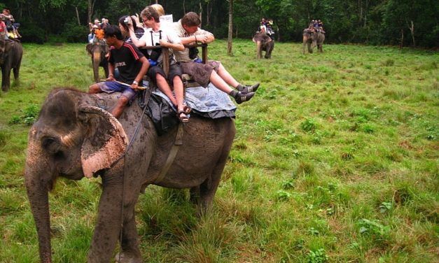 Bravo! This Tourism Company Has Stopped Cruel Elephant Rides