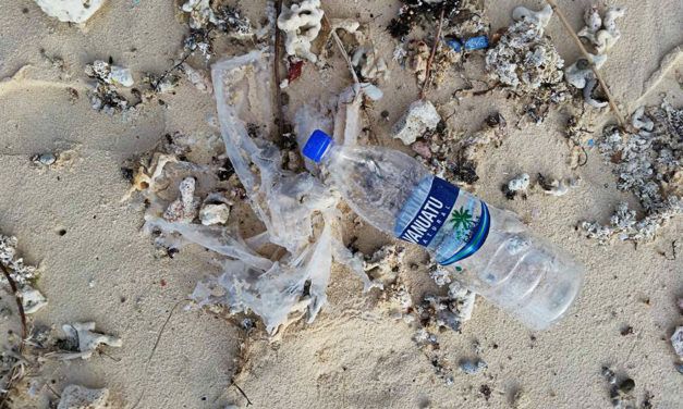 Eco Win: Vanuatu Bans Single-Use Plastic Bottles and Bags