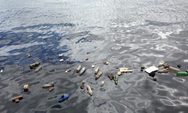 Can We Eliminate Our Deadly Plastic Problem?