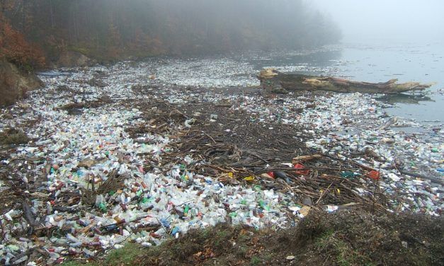 Chile Moves Towards a Plastic Bag-Free Future