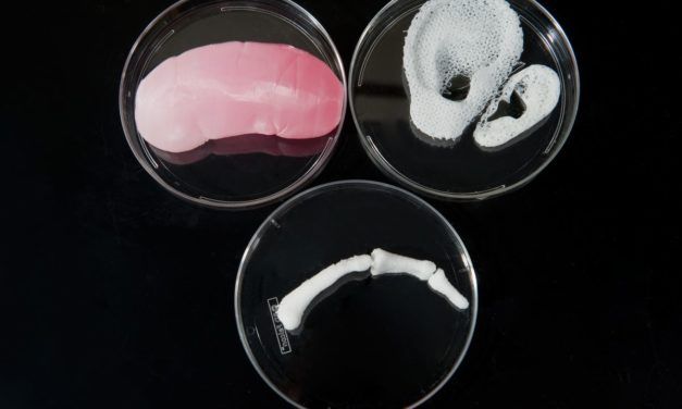 New 3D-Printed ‘Mini Organs’ Could Eliminate Cruel Animal Testing