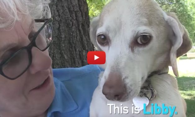 VIDEO: Libby Was Rescued from Medical Research – Just Look At Her Now!