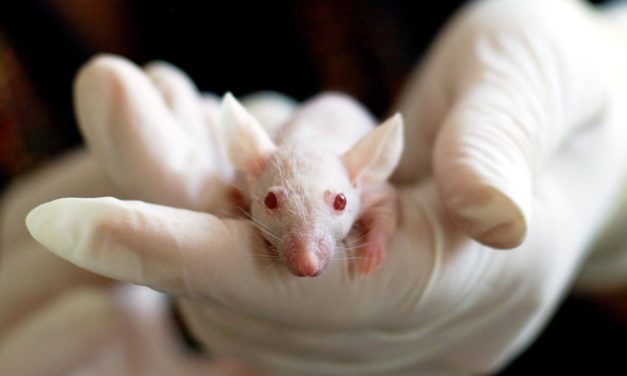 Bravo! A Non-Animal Testing Lab has Just Opened Up in China