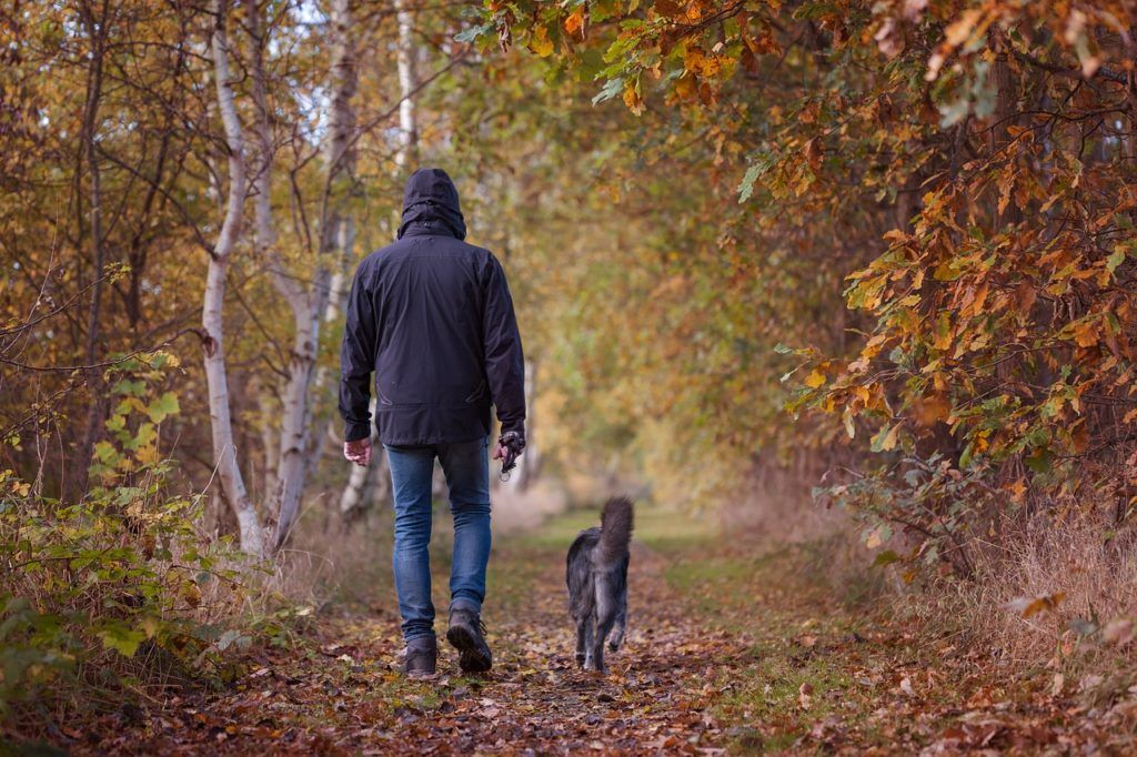 Man walking dog on a forest trail.
