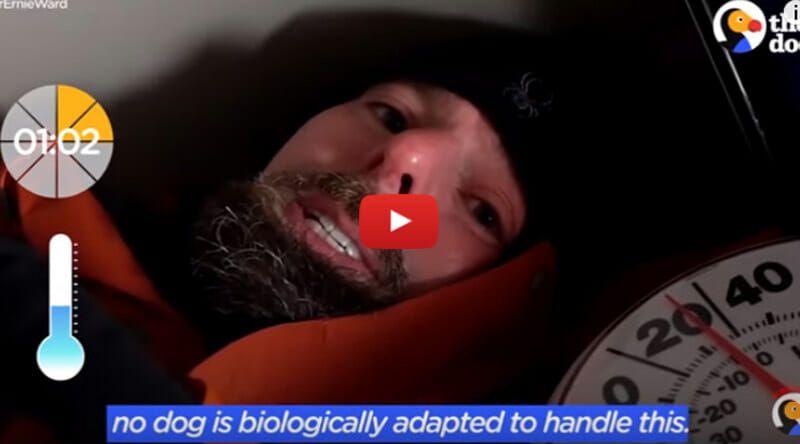 To demonstrate the dangers of leaving a pet outside in the cold for too long, vet Dr. Ernie Ward filmed himself spending a freezing night in a doghouse during winter.