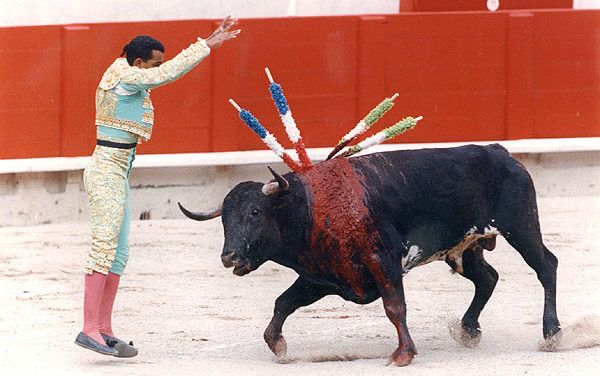 Bullfighting has Just been Banned in this Venezuelan City