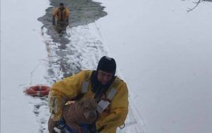 firemen save dog in lake