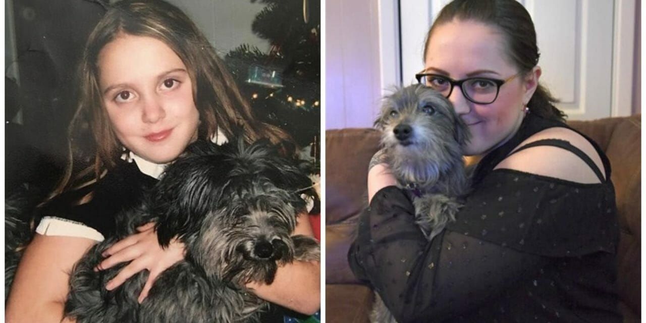 Woman Adopts Senior Dog, Then Learns It’s the Same Pet She Had As A Child