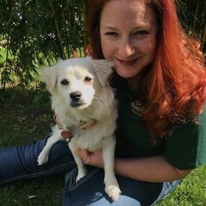 dog rescued from dog meat