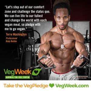 Torre Washington vegweek meat-free