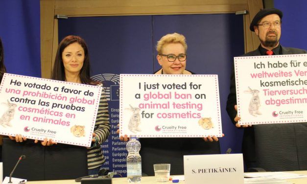 EU Parliament Passes Resolution for Worldwide Ban On Animal Cosmetics Testing