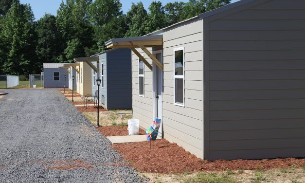 This Abused Animal Shelter Has Cottages, Not Kennels, to Make Residents Feel Cozy and Safe