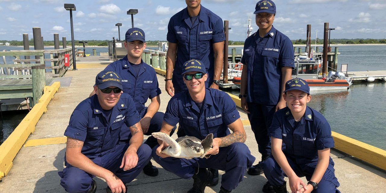 Sea turtle and rescue crew off the coast of North Carolina.