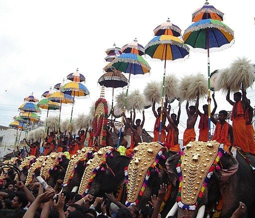 Elephants at a religious festival in Kerala, India.