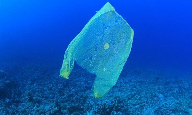 Our Plastic Trash Has Infiltrated the Deepest Part of the Ocean