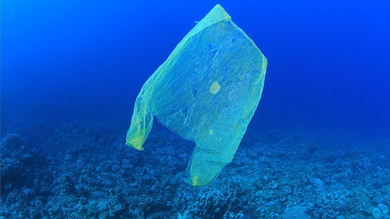 plastic bag ocean pollution marine garbage