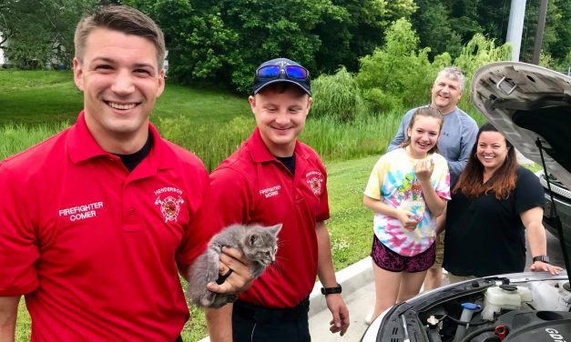 Hero Firefighters Disassemble Car Engine to Save Kitten Trapped Inside