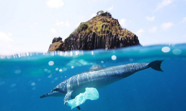 REVEALED: How Much Waste Will Be in Our Oceans in 10 Years Time