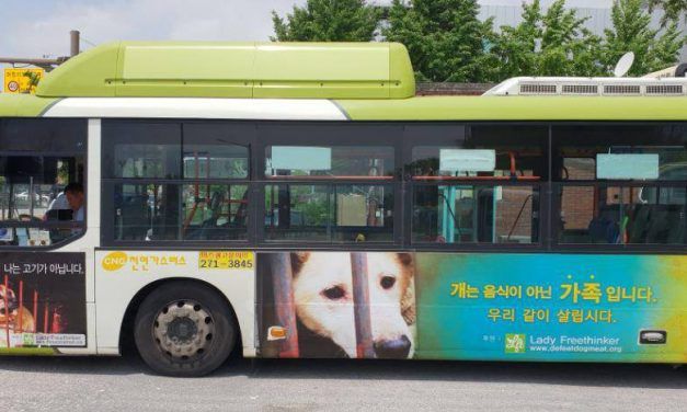 LFT Sponsors Bus Ad in S. Korea with Message that Dogs are Family, Not Food