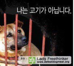 Dog meat in S. Korea