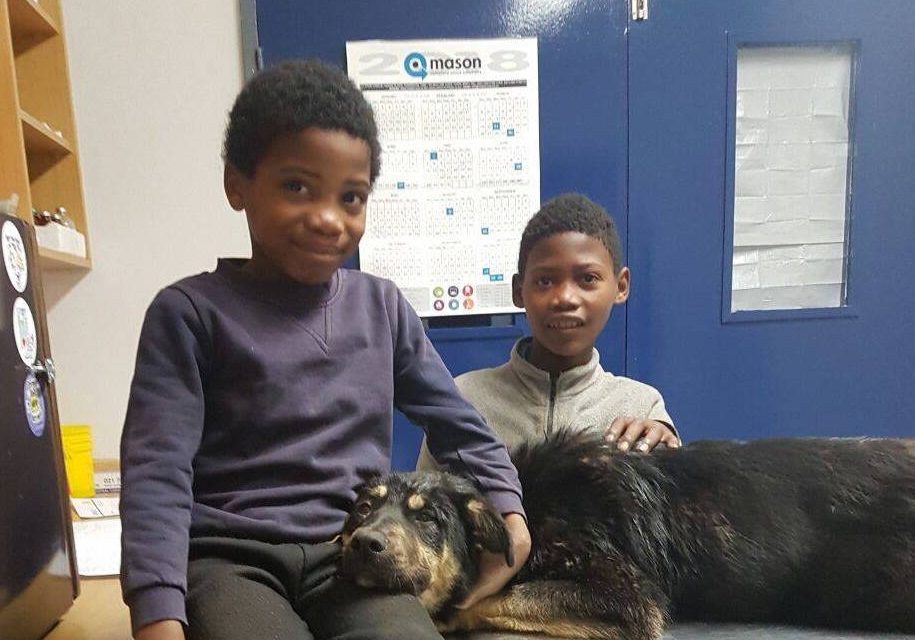 Two boys give up their shoes to save dog's life