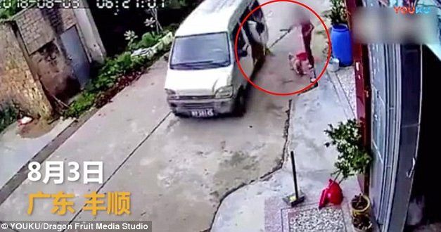 Woman Fights Off Dog Meat Thief with Broom to Save Beloved Pet