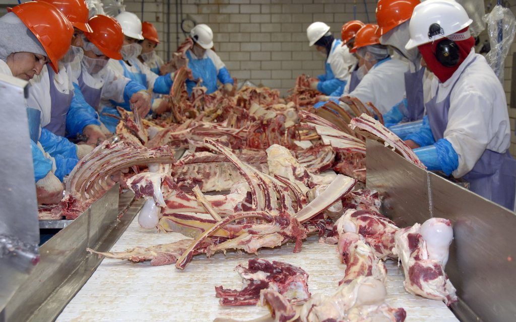 Slaughterhouse workers face serious injuries