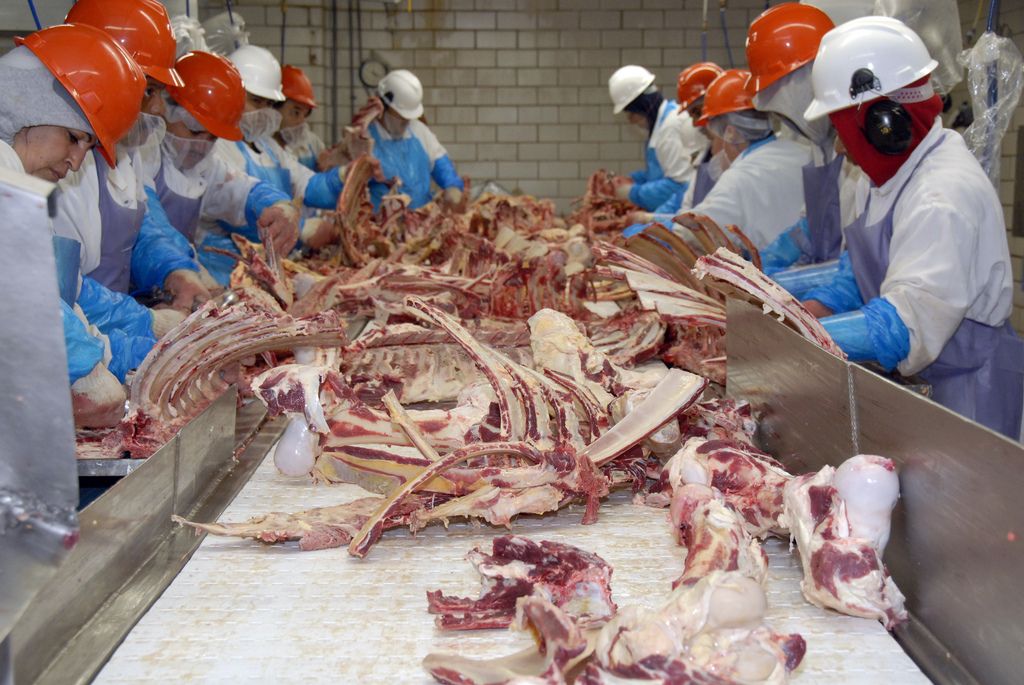 Slaughterhouse workers face serious injuries