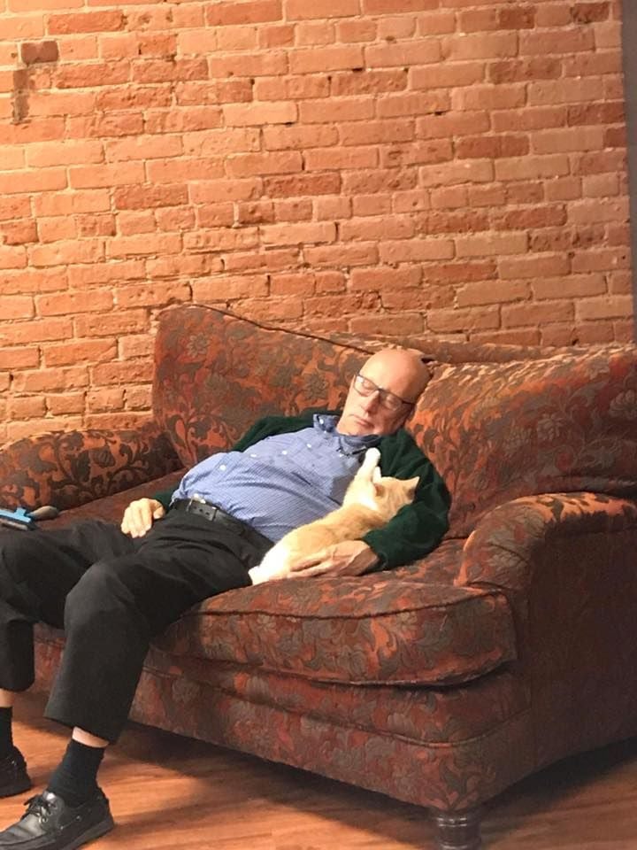 man napping with cat