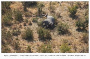 90 Elephant carcasses found in Botswana.
