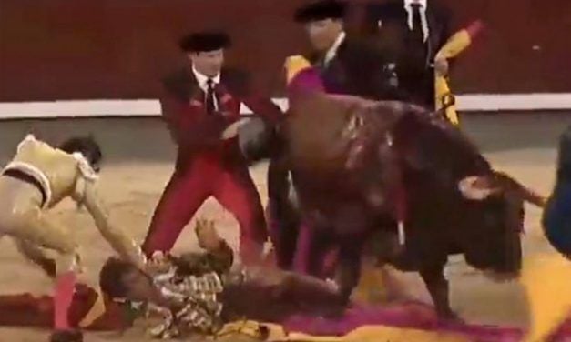 Bullfighter Gored On Opening Day of Spanish Festival