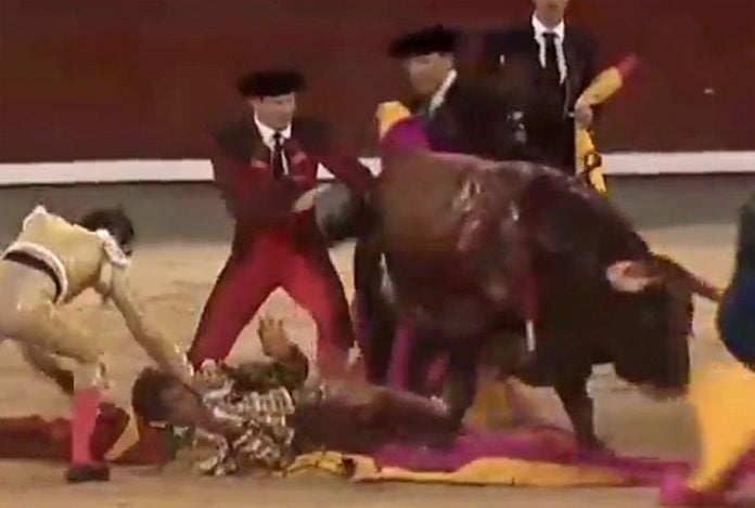 Bullfighter Gored On Opening Day of Spanish Festival