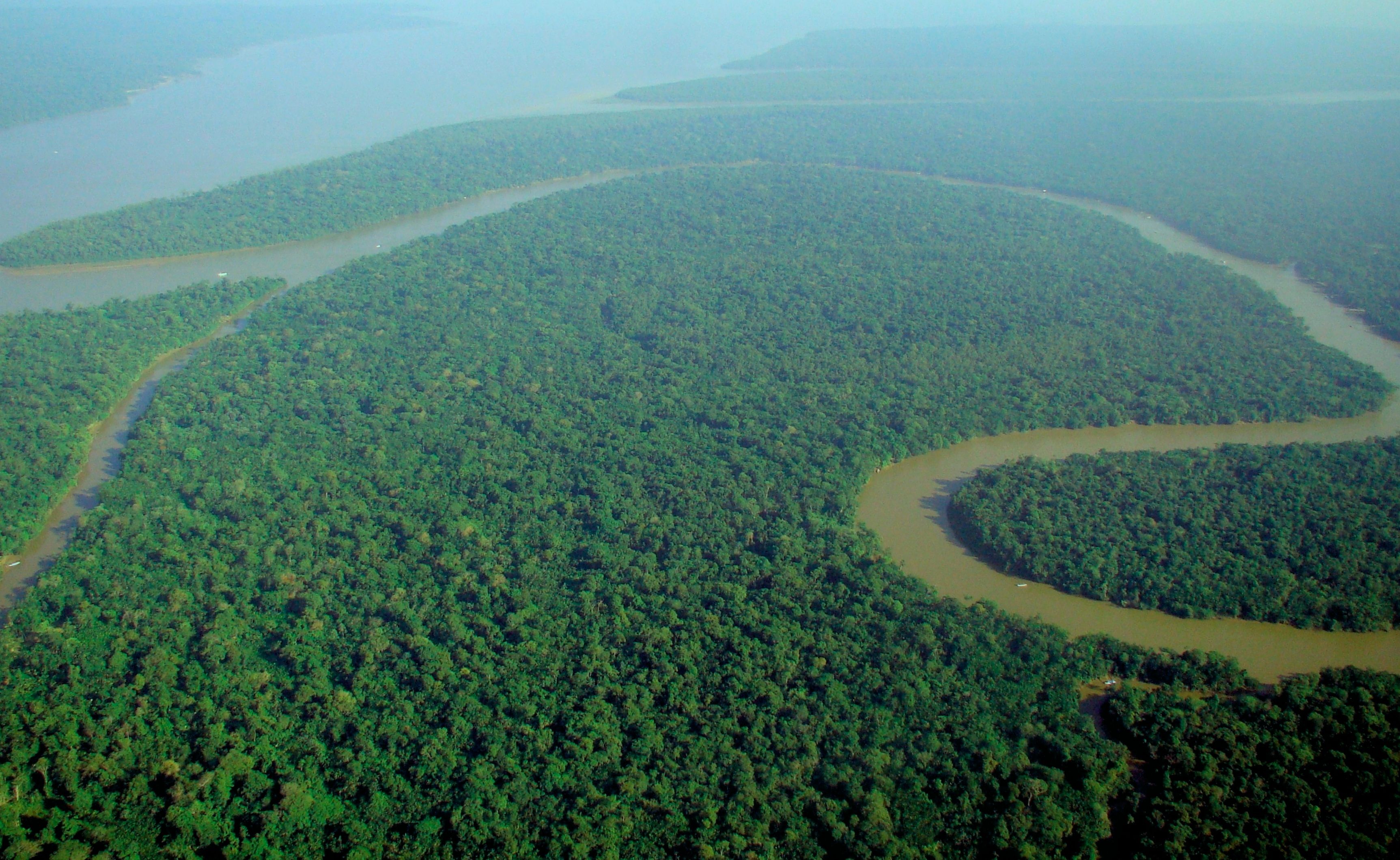 amazon rainforest brazil