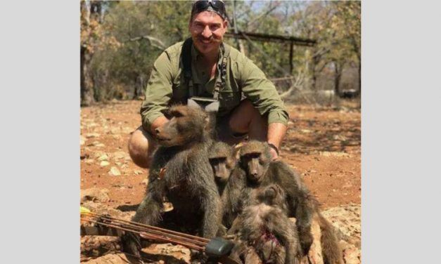 SIGN: Fire Wildlife Official Who Brutally Killed An Entire Baboon Family