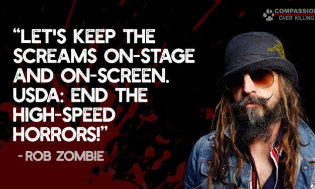 Rob Zombie Speaks Out Against High-Speed Slaughter Hell