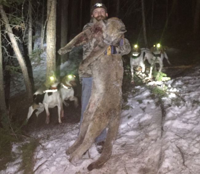 Mountain Lion Poacher Convicted of Felony, But Gets No Jail