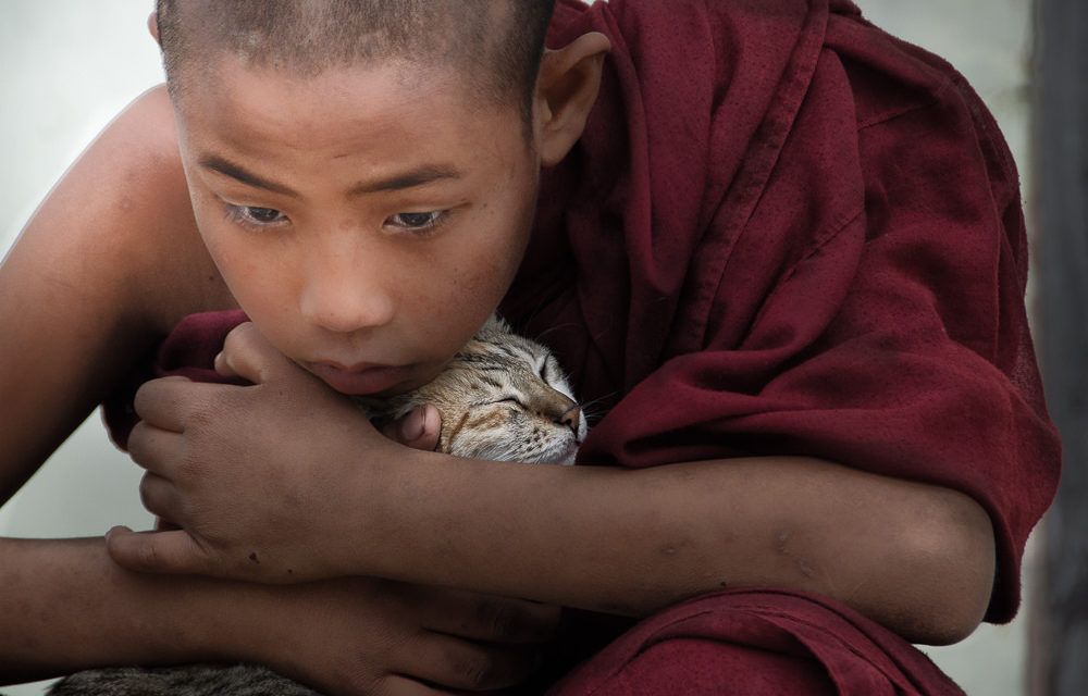 A young monk cradles a cat in his arms