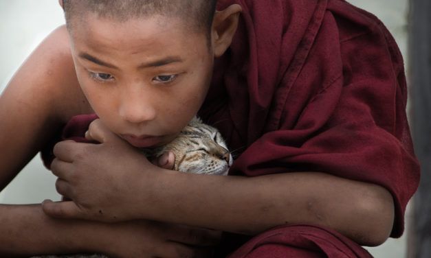 New Film Encourages the Religious and Spiritual to Extend their Compassion to Animals